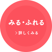 詳しくみる