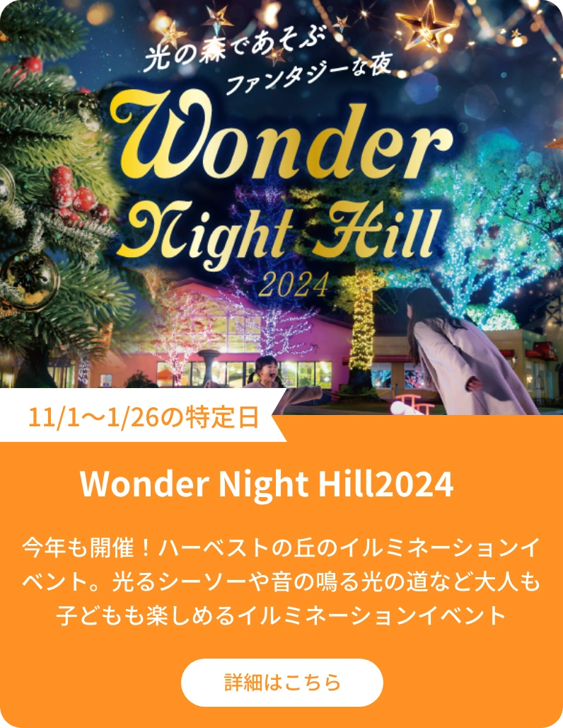 Wonder Night Hill2024