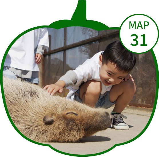 カピバラふれあい