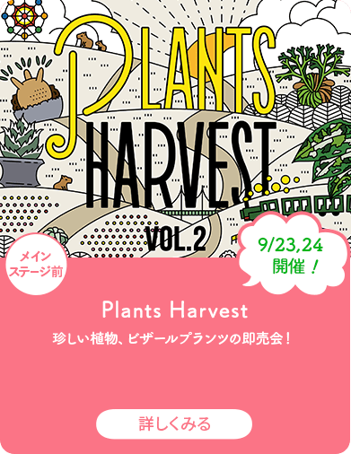 Plants Harvest