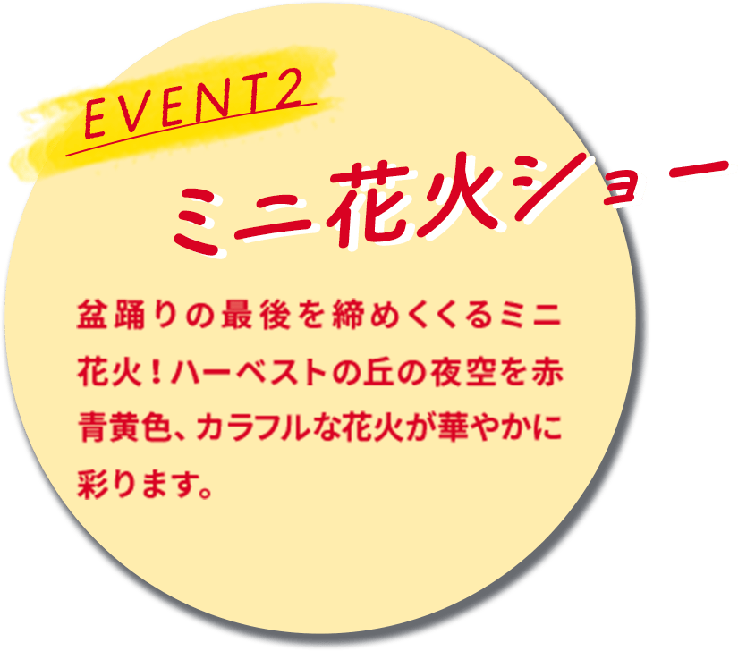 EVENT2 ミニ花火ショー
