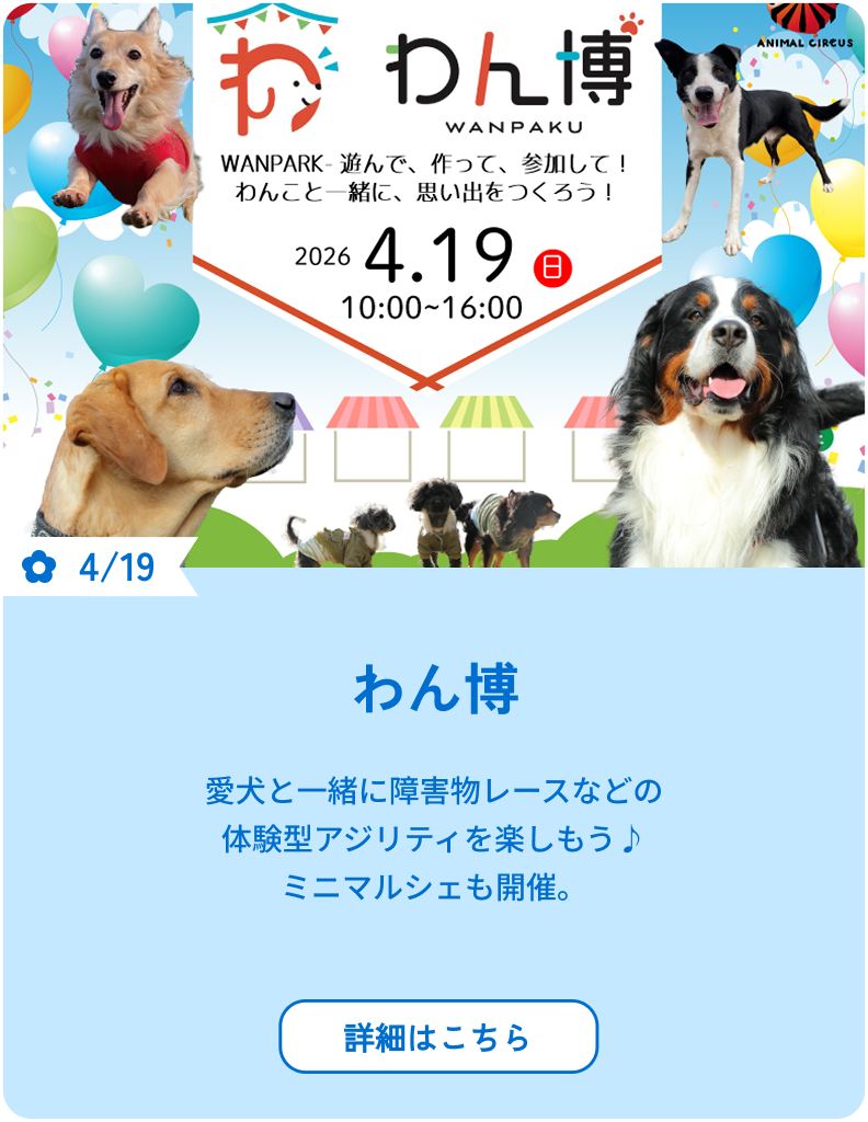 4/19 愛犬と一緒に障害物レースなどの体験型アジリティを楽しもう♪ ミニマルシェも開催。詳細はこちら
