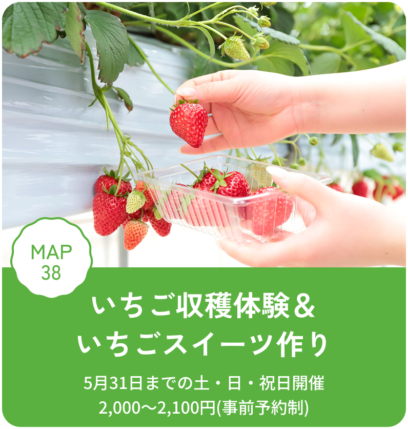 いちご収穫体験＆いちごスイーツ作り 5月31日までの土・日・祝日開催 2,000～2,100円(事前予約制)MAP38