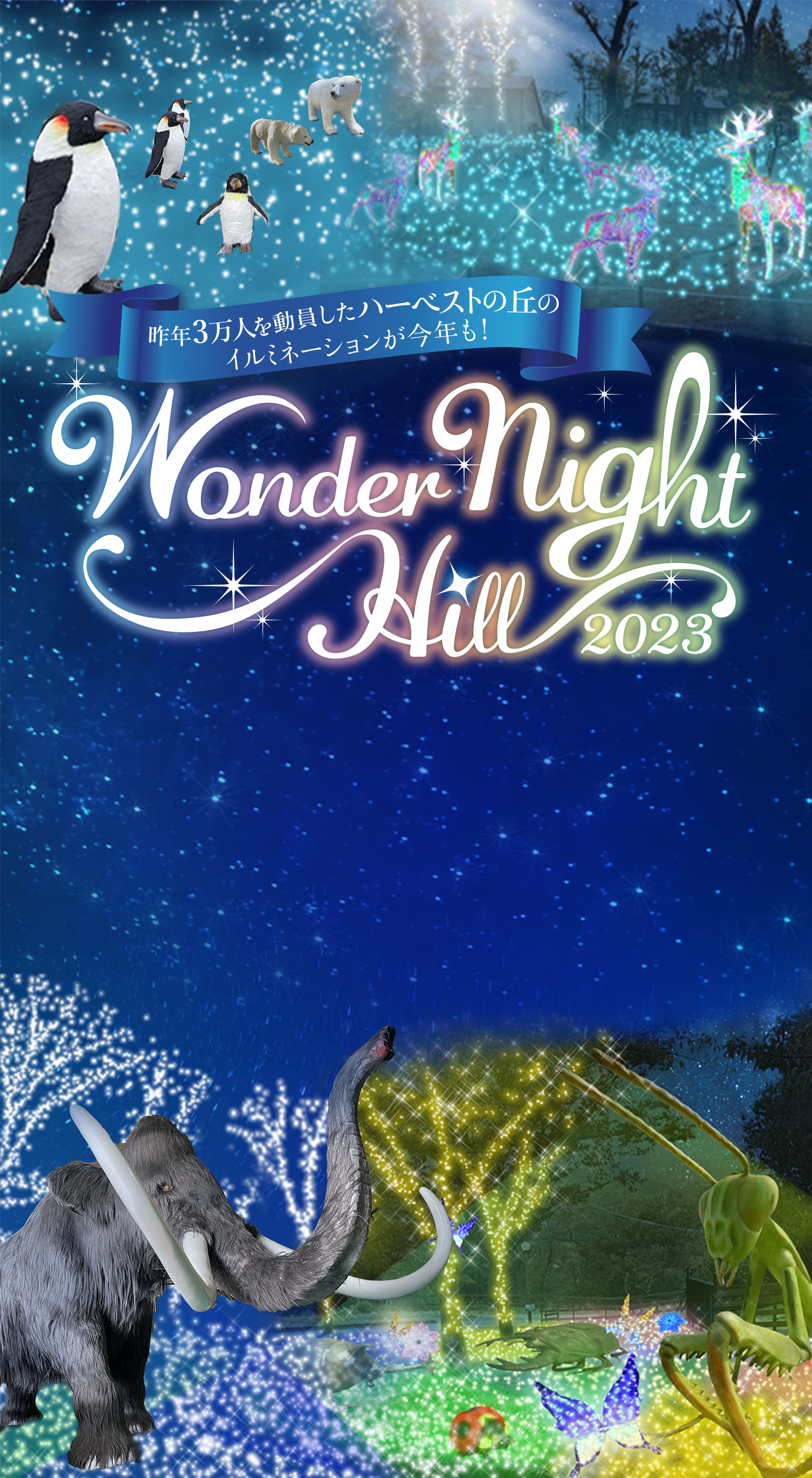 Wonder Night Hill2023