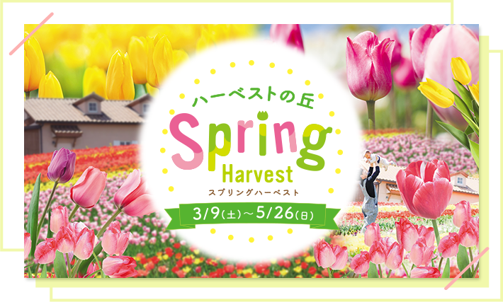 ハーベストの丘 Spring Harvest スプリングハーベスト 3/9(土)〜5/26(日)