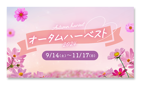 オータムハーベスト2024 9/14(土)〜11/17(日)