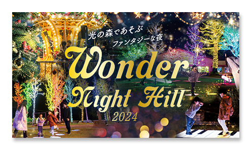 Wonder Night Hill 2024