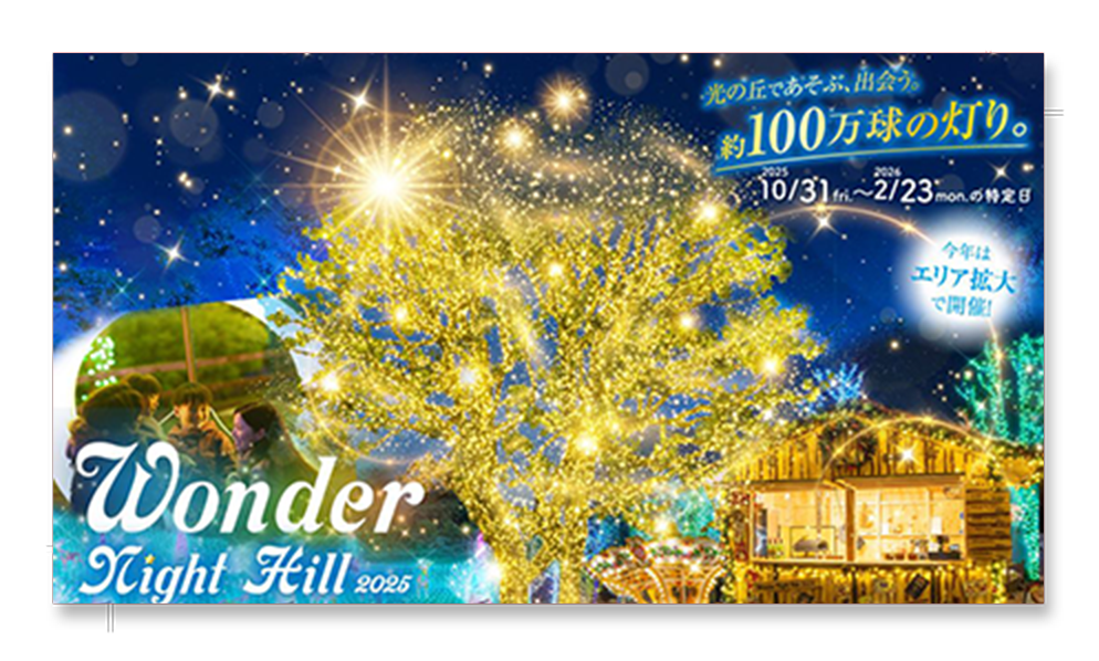 イルミネーションLP 2025