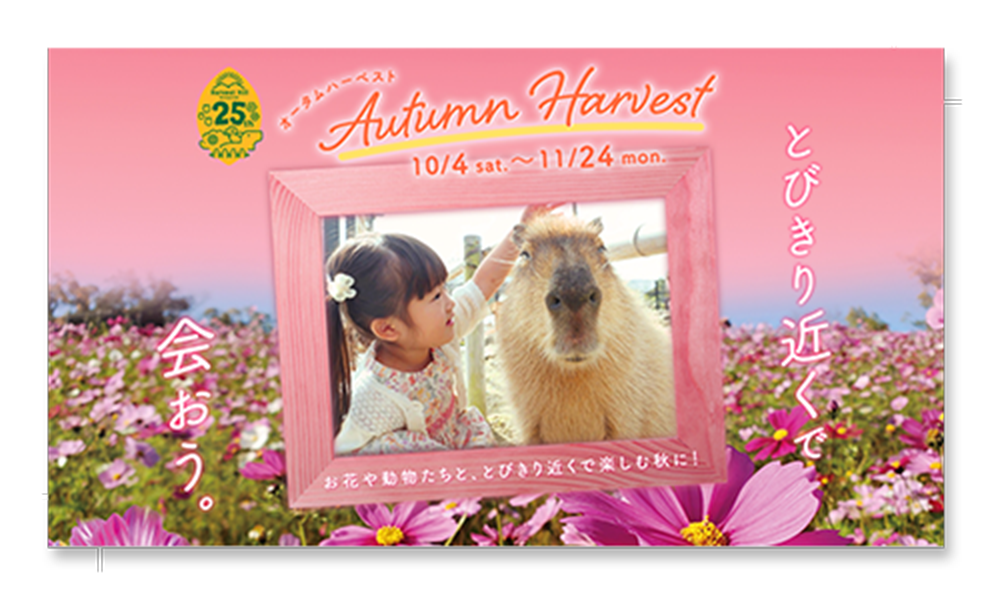 オータムハーベスト