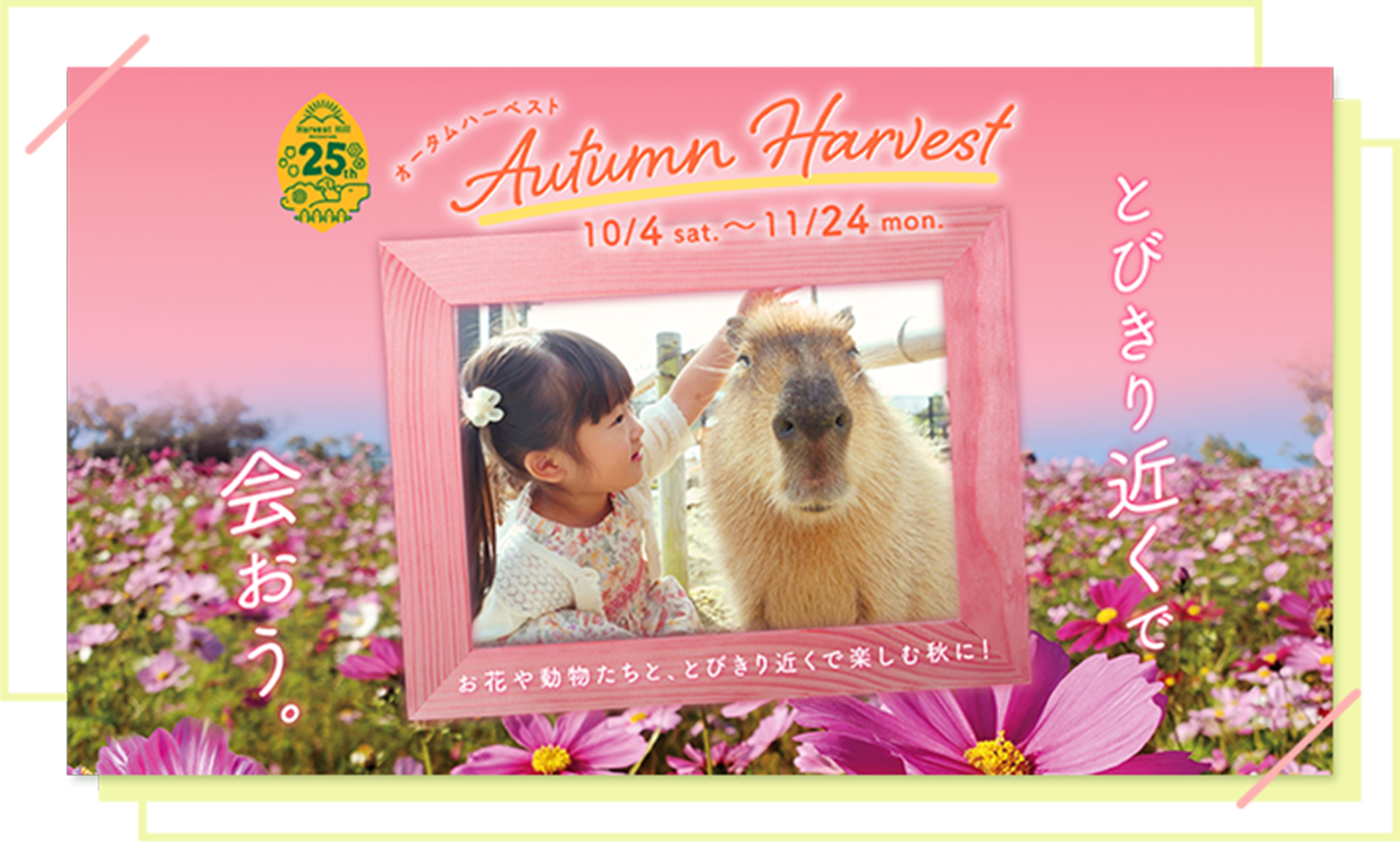 オータムハーベスト