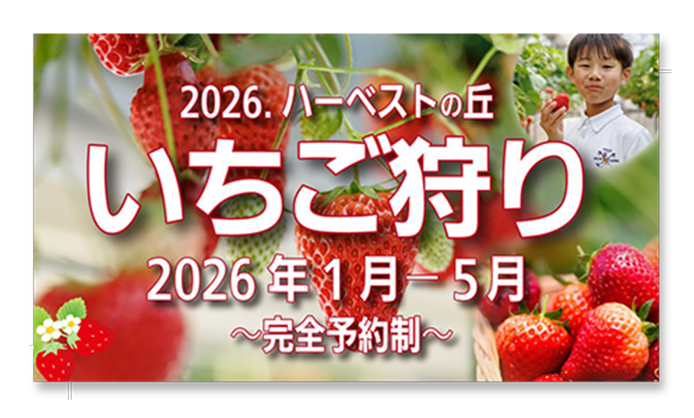 オータムハーベスト