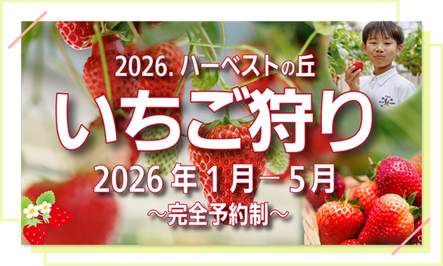 オータムハーベスト