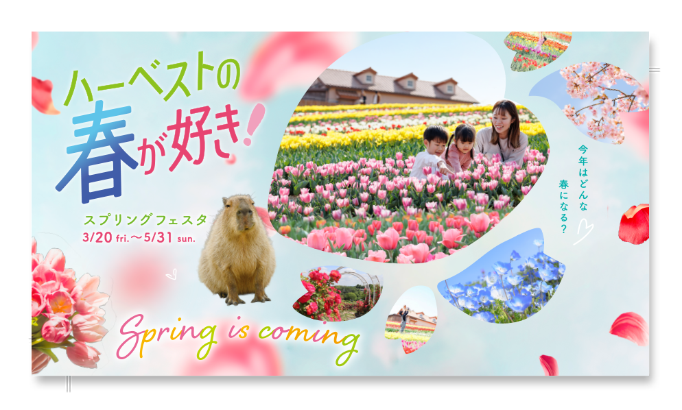 スプリングフェスタ 2025