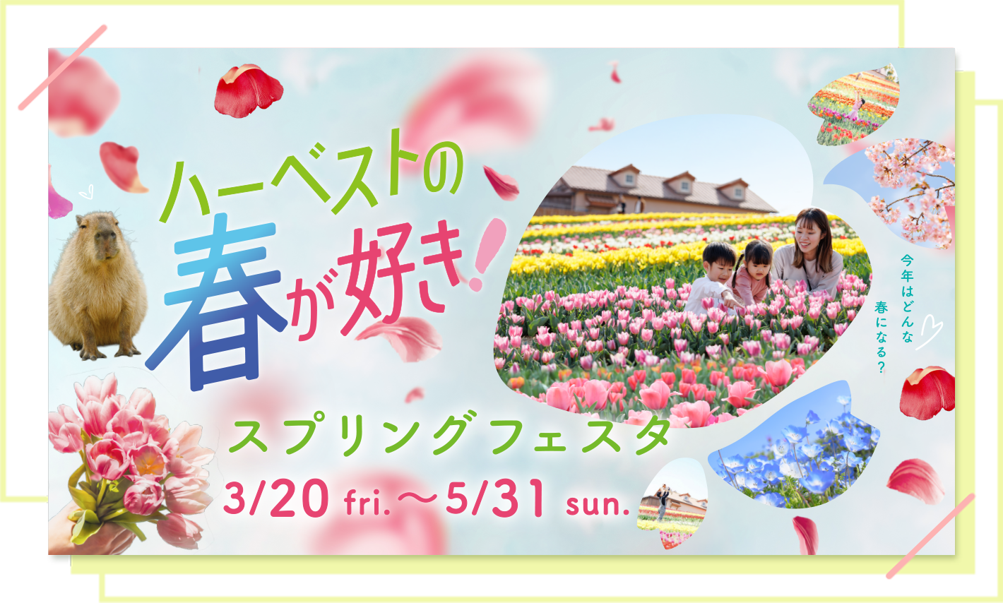 スプリングフェスタ 2025