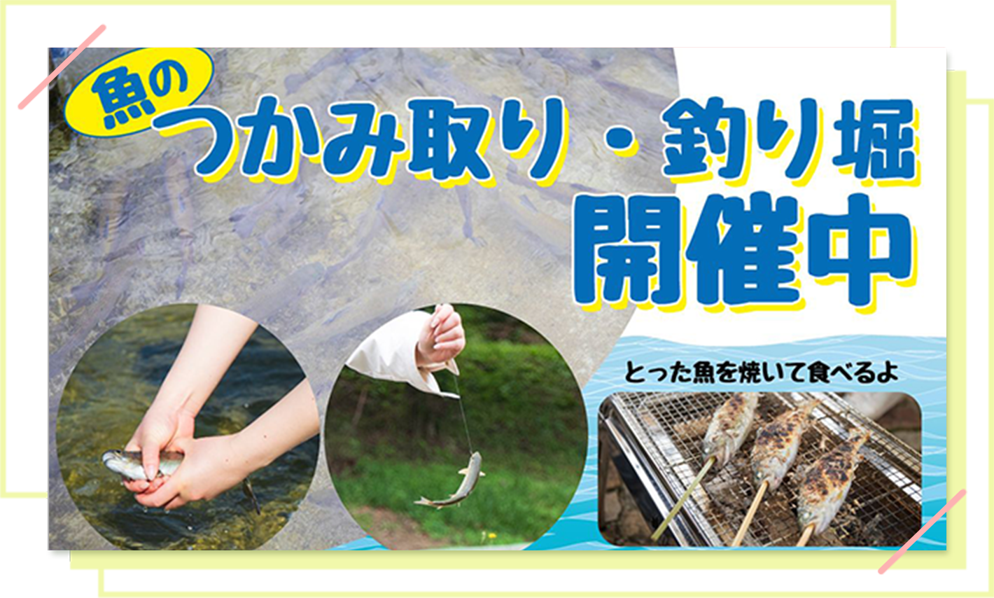 魚のつかみ取り・釣り堀開催中