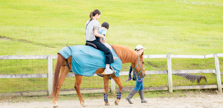 乗馬体験（営業終了）