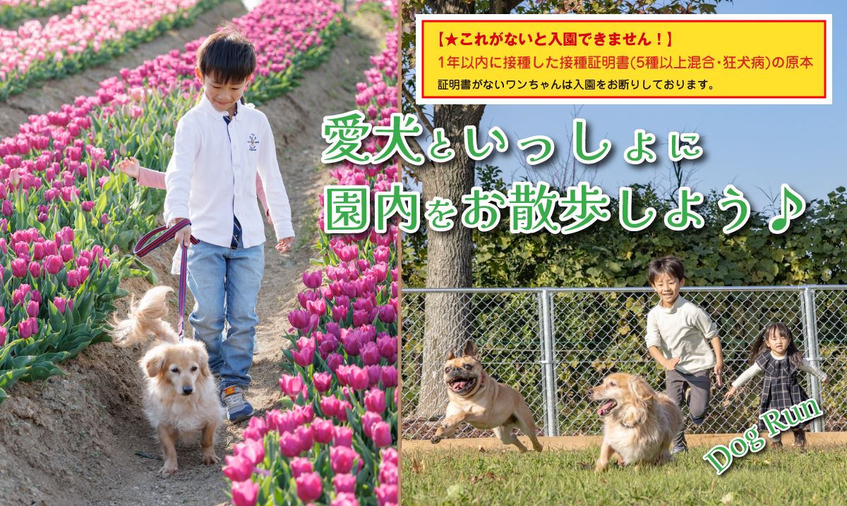 愛犬と一緒に、園内をお散歩しよう！