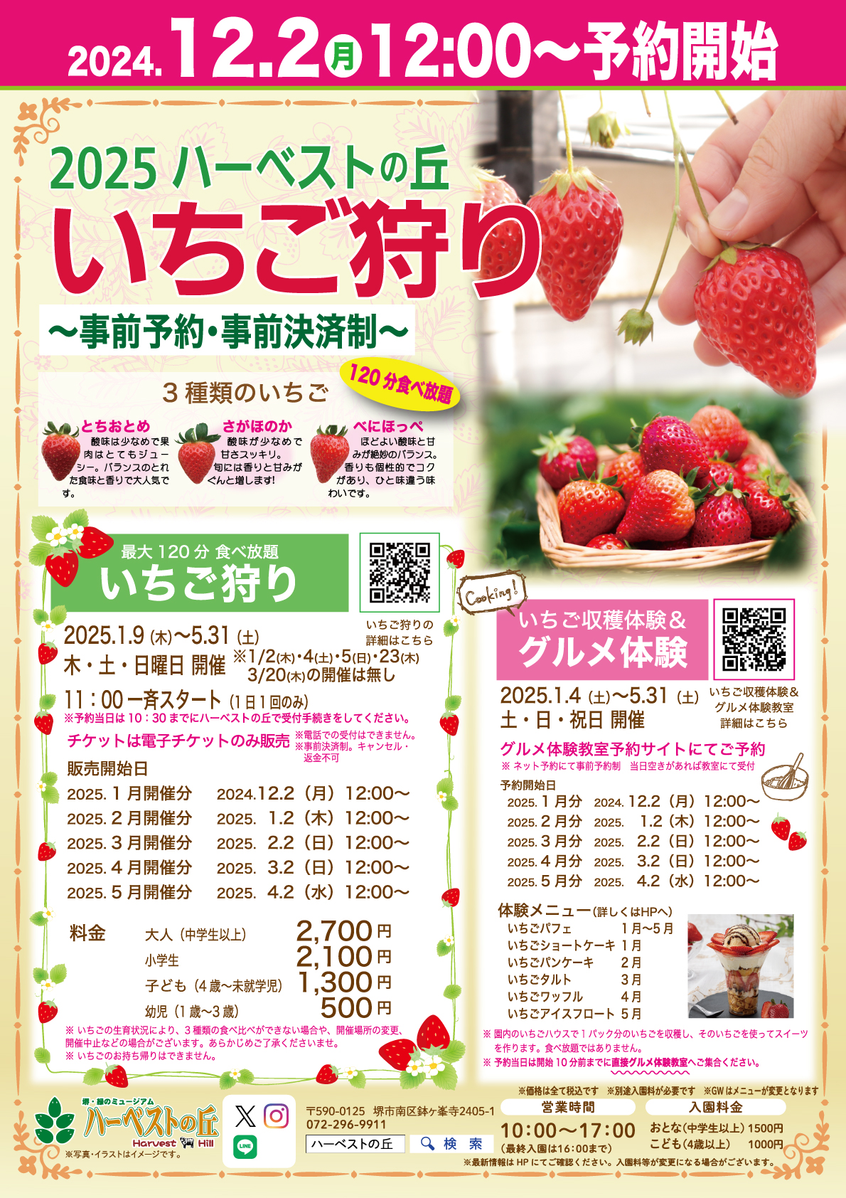 苺様確認専用ページ➀ （1～3月限定】紅ほっぺ種苺とプリンのキューブ 