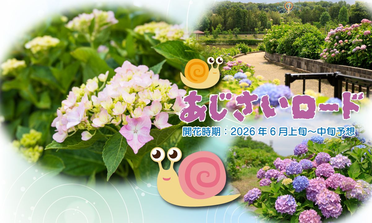 あじさいロード〈一部咲き始め〉