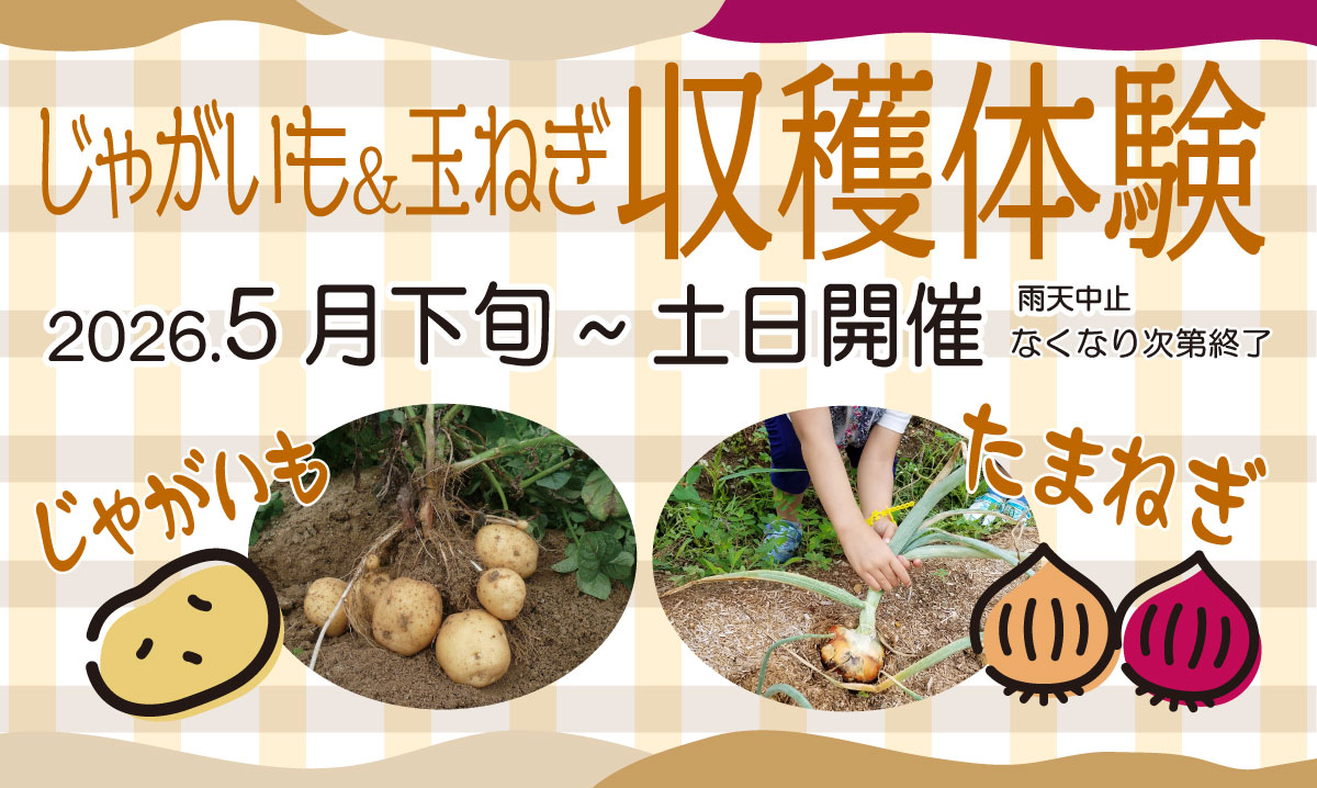 じゃがいも＆玉ねぎの収穫体験　5月下旬～の土日