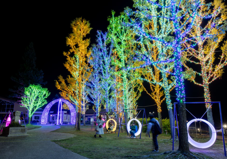 色彩のセコイア