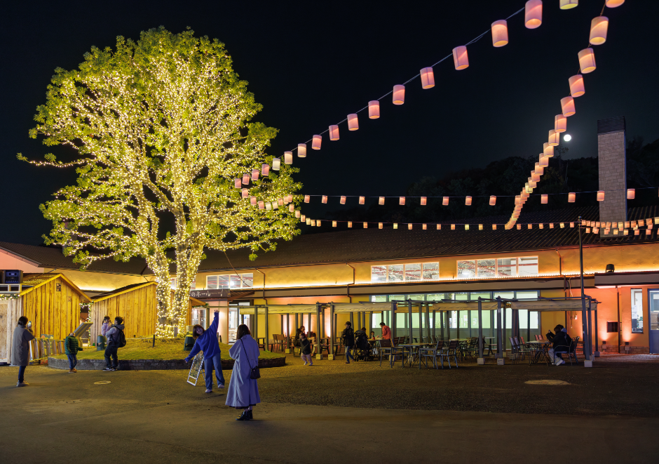 集いのヤマモモ