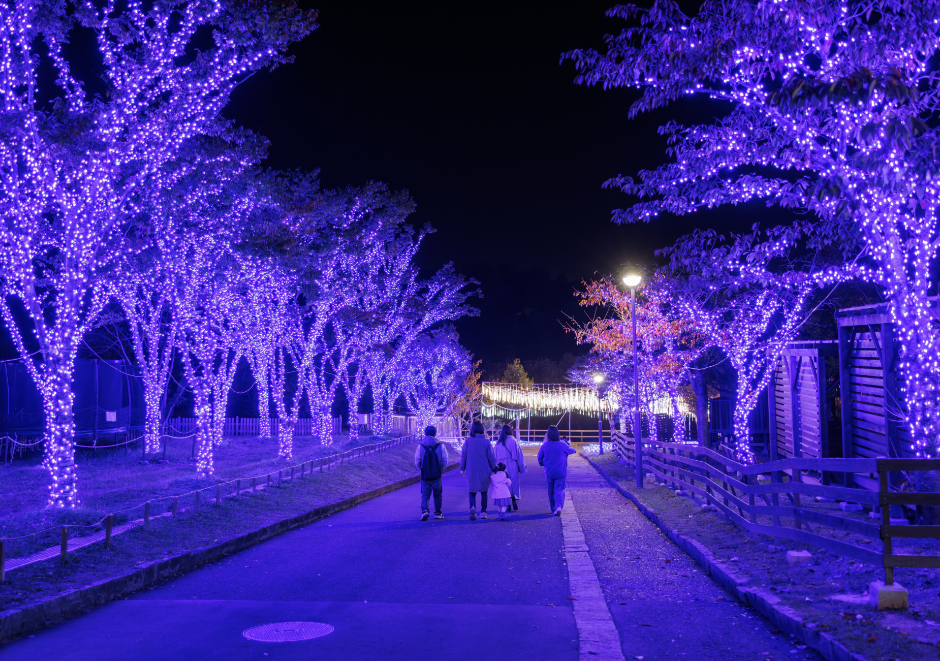 星落ちる青の森