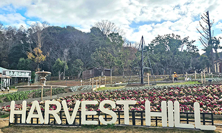 ウェルカムガーデン