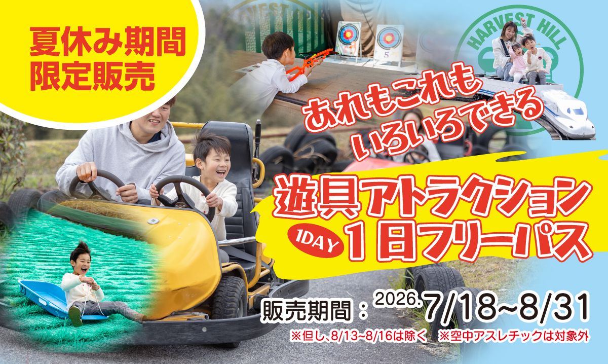 遊具アトラクション1dayフリーパス　7/18～8/31
