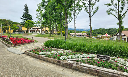 センターガーデンの花壇