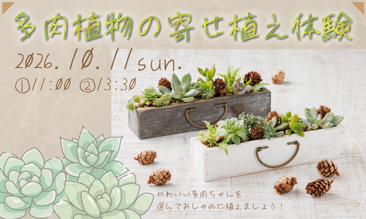 多肉植物の寄せ植え体験　10/11〈事前予約制〉