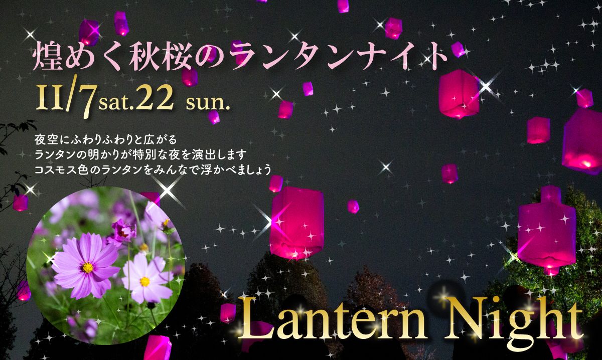 秋桜のランタンナイト　11/7・22〈事前予約制〉