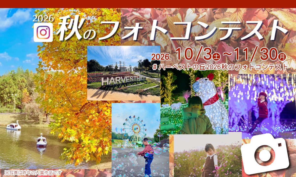 秋のフォトコンテスト2026　〈応募期間：10/3～11/30〉