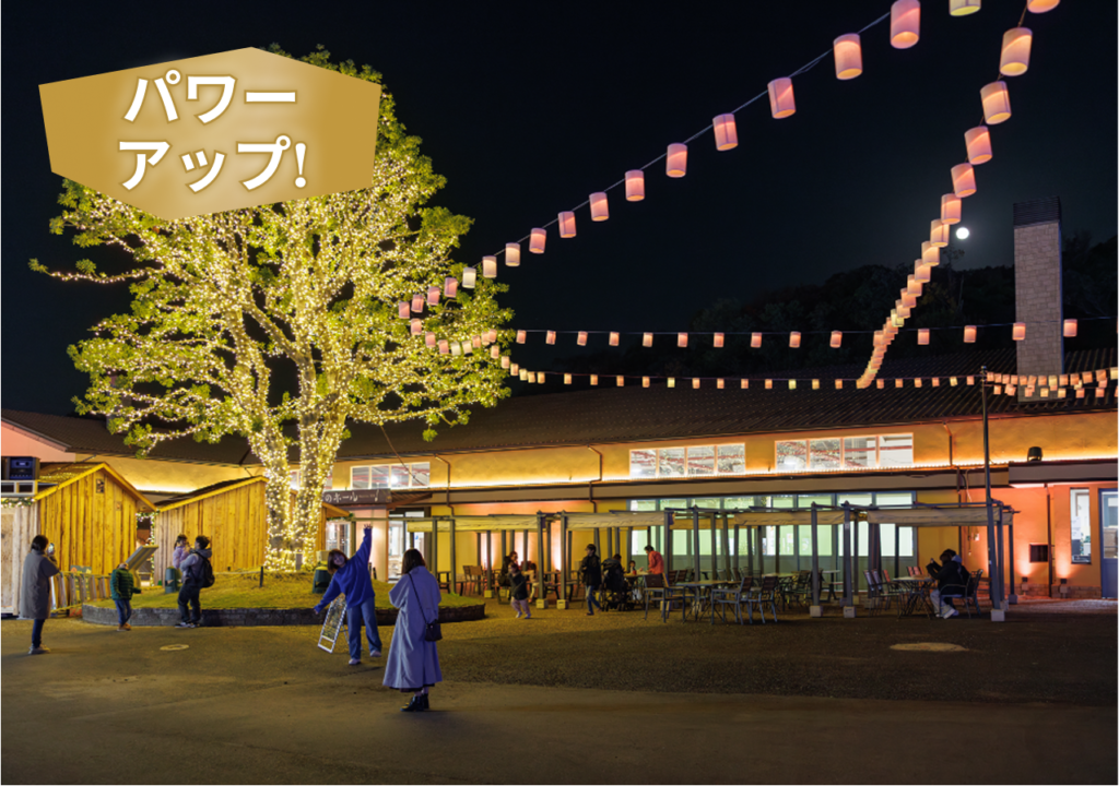 集いのヤマモモ